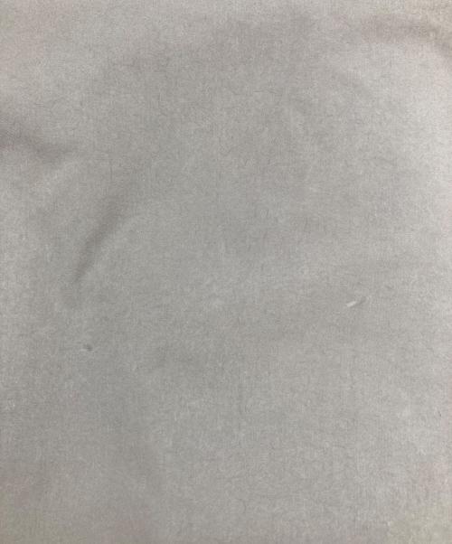 Advanced Raingear System（アドバンスド・レインギア・システム）Advanced Raingear System (アドバンスド・レインギア・システム) マウンテンパーカー グレー サイズ:3の古着・服飾アイテム