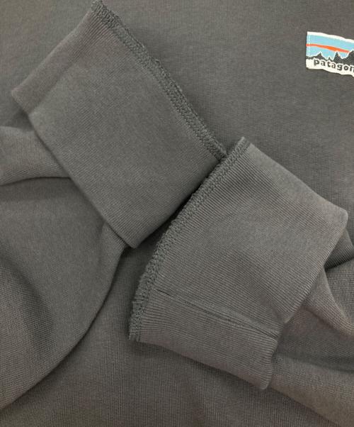 Patagonia（パタゴニア）Patagonia (パタゴニア) デイリー・フーディ・スウェットシャツ グレー サイズ:Lの古着・服飾アイテム