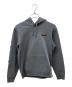 Patagonia（パタゴニア）の古着「フィッツロイ・ワイルド・アップライザル・フーディ」｜グレー
