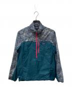 Patagoniaパタゴニア）の古着「ーディニスタッシュ1/2ジップP/O」｜ブルー