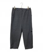 THE NORTH FACEザ ノース フェイス）の古着「ナイロンパンツ」｜グレー