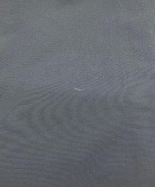 THE NORTH FACE（ザ ノース フェイス）THE NORTH FACE (ザ ノース フェイス) マウンテンパーカー ネイビー サイズ:Lの古着・服飾アイテム