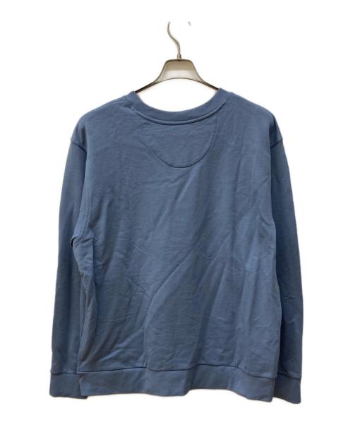 Patagonia（パタゴニア）Patagonia (パタゴニア) デイリー・クルーネック・スウェット ブルー サイズ:Ｌの古着・服飾アイテム