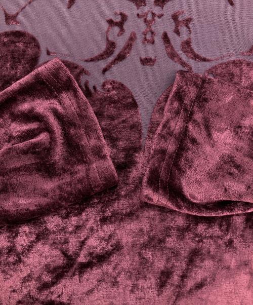 hysterics（ヒステリックス）hysterics (ヒステリックス) シースルーベロアカットソー パープル サイズ:FREEの古着・服飾アイテム