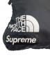 中古・古着 SUPREME (シュプリーム) THE NORTH FACE (ザ ノース フェイス) TNF S LOGO shoulder BAG/ナイロンショルダーバッグ ブラック×ホワイト：7000円