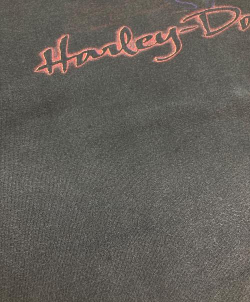 HARLEY-DAVIDSON（ハーレーダビッドソン）HARLEY-DAVIDSON (ハーレーダビッドソン) プリントTシャツ ブラック サイズ:XLの古着・服飾アイテム