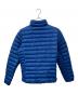 Patagonia (パタゴニア) ダウンジャケット/ダウン・セーター ブルー サイズ:XS：20000円