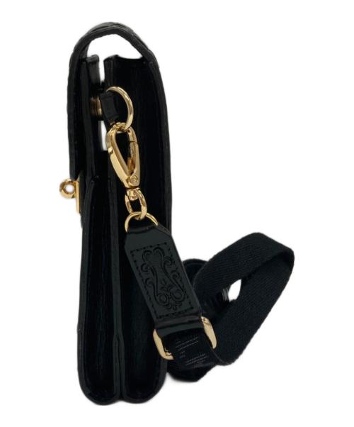 Carving Tribes（カービングトライブス）Carving Tribes (カービングトライブス) chain mini bag/ショルダーポーチ ブラックの古着・服飾アイテム