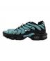 NIKE (ナイキ) AIR MAX PLUS AQUA/スニーカー スカイブルー サイズ:27：11000円