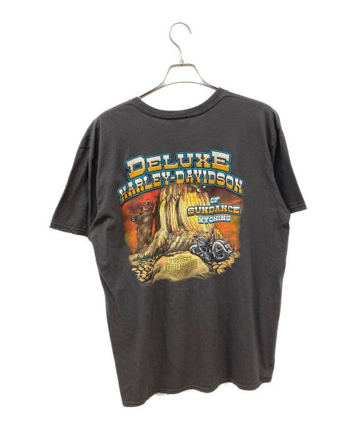 HARLEY-DAVIDSON（ハーレーダビッドソン）HARLEY-DAVIDSON (ハーレーダビッドソン) プリントTシャツ グレー サイズ:XLの古着・服飾アイテム