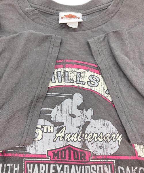 HARLEY-DAVIDSON（ハーレーダビッドソン）HARLEY-DAVIDSON (ハーレーダビッドソン) プリントTシャツ グレー サイズ:XLの古着・服飾アイテム
