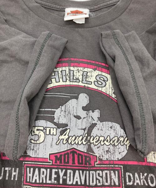 HARLEY-DAVIDSON（ハーレーダビッドソン）HARLEY-DAVIDSON (ハーレーダビッドソン) プリントTシャツ グレー サイズ:XLの古着・服飾アイテム