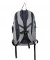 Patagonia (パタゴニア) Refugio Pack/バックパック グレー：6000円