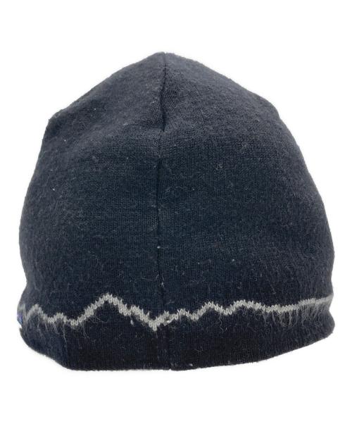 Patagonia（パタゴニア）Patagonia (パタゴニア) サンダーライクシングルビーニー ブラックの古着・服飾アイテム