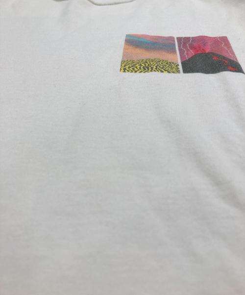 stussy（ステューシー）stussy (ステューシー) Ken Price (ケンプライス) プリントカットソー ホワイト サイズ:SIZE Sの古着・服飾アイテム