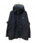Patagonia（パタゴニア）の古着「STORM JACKET/マウンテンパーカー」｜ブラック