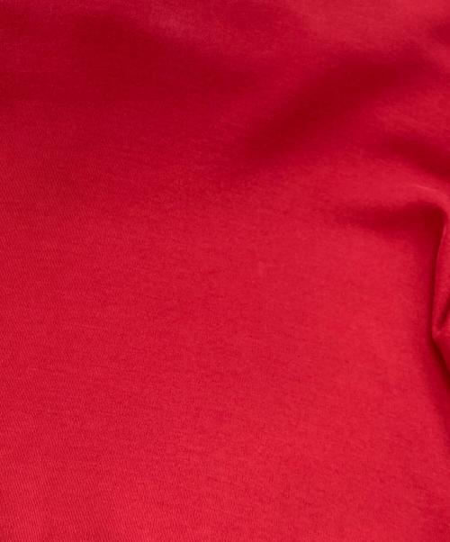 JOHN LAWRENCE SULLIVAN（ジョン ローレンス サリバン）JOHN LAWRENCE SULLIVAN (ジョン ローレンス サリバン) COTTON JERSEY TURTLE NECK TOP(コットン ジャージー タートル ネック トップ) レッド サイズ:SIZESの古着・服飾アイテム