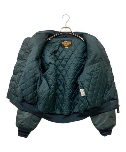 HARLEY-DAVIDSON（ハーレーダビッドソン）HARLEY-DAVIDSON (ハーレーダビッドソン) フライトドッキングライダースジャケット ブラック×ブルー サイズ:Lの古着・服飾アイテム