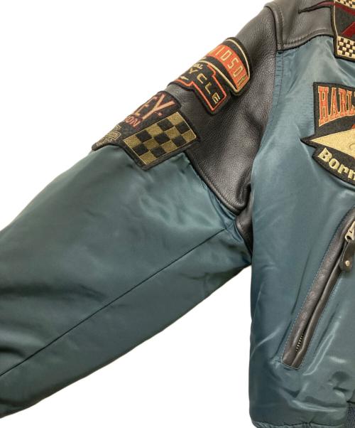 HARLEY-DAVIDSON（ハーレーダビッドソン）HARLEY-DAVIDSON (ハーレーダビッドソン) フライトドッキングライダースジャケット ブラック×ブルー サイズ:Lの古着・服飾アイテム
