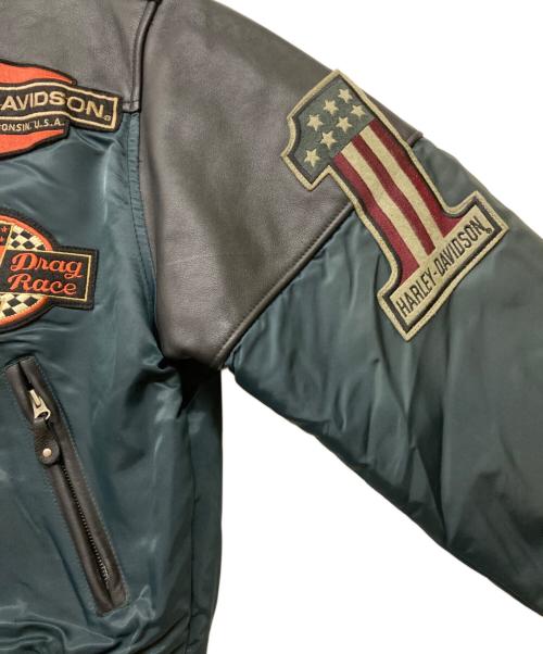 HARLEY-DAVIDSON（ハーレーダビッドソン）HARLEY-DAVIDSON (ハーレーダビッドソン) フライトドッキングライダースジャケット ブラック×ブルー サイズ:Lの古着・服飾アイテム
