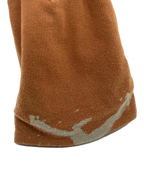 ARC'TERYX（アークテリクス）ARC'TERYX (アークテリクス) Grotto Toque Beanie ブラウン サイズ:‐の古着・服飾アイテム