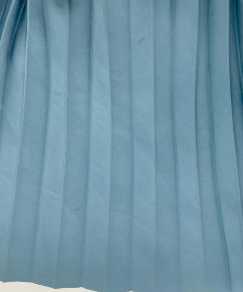 HYKE（ハイク）HYKE (ハイク) 24SS TAFFETA PLEATED SKIRT(4SS タフタ プリーツ スカート) ブルー サイズ:size１の古着・服飾アイテム