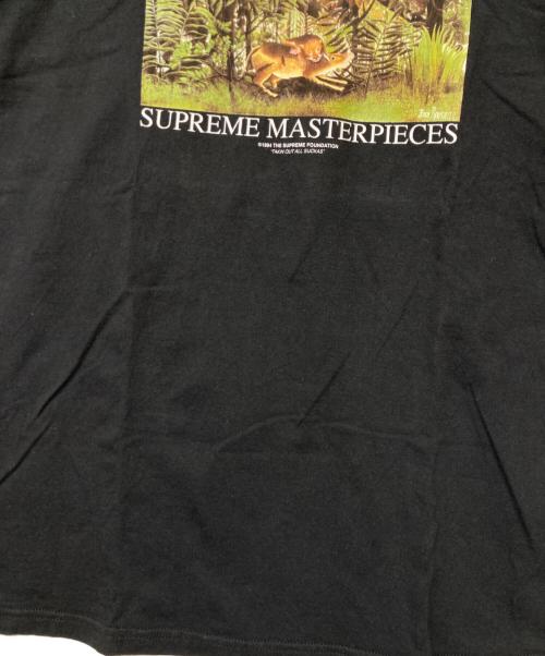 SUPREME（シュプリーム）SUPREME (シュプリーム) 20SS Master PiecesTシャツ(トゥエンティエスエス マスターピース ティーシャツ) ブラック サイズ:SIZELの古着・服飾アイテム