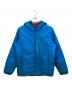 Patagonia（パタゴニア）の古着「ダウンジャケット」｜ブルー