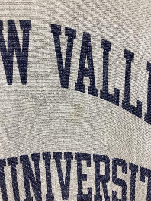 Champion REVERSE WEAVE（チャンピオン リバース ウィーブ）Champion REVERSE WEAVE (チャンピオン リバース ウィーブ) 二段ロゴリバースウィーブスウェット グレー サイズ:LARGEの古着・服飾アイテム