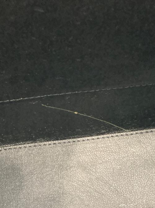 takechi（タケチ）takechi (タケチ) クロコハンドバッグ ブラックの古着・服飾アイテム