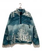 Columbiaコロンビア）の古着「ヘルベティアハーフスナップフリース」｜ブルー