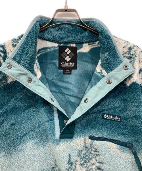 Columbia（コロンビア）Columbia (コロンビア) ヘルベティアハーフスナップフリース ブルー サイズ:Lの古着・服飾アイテム