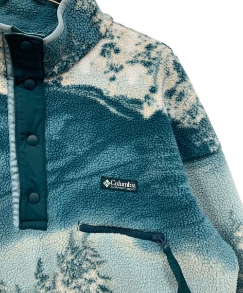Columbia（コロンビア）Columbia (コロンビア) ヘルベティアハーフスナップフリース ブルー サイズ:Lの古着・服飾アイテム