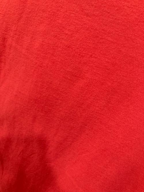 BLURHMS（ブラームス）BLURHMS (ブラームス) 前後切替Tシャツ レッド サイズ:3の古着・服飾アイテム