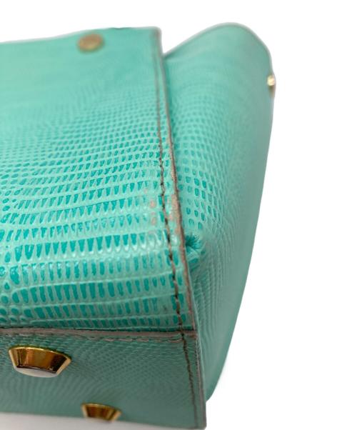 PELLE MORBIDA（ペッレモルビダ）PELLE MORBIDA (ペッレモルビダ) リザード型押しレザーショルダーバッグ ブルーの古着・服飾アイテム