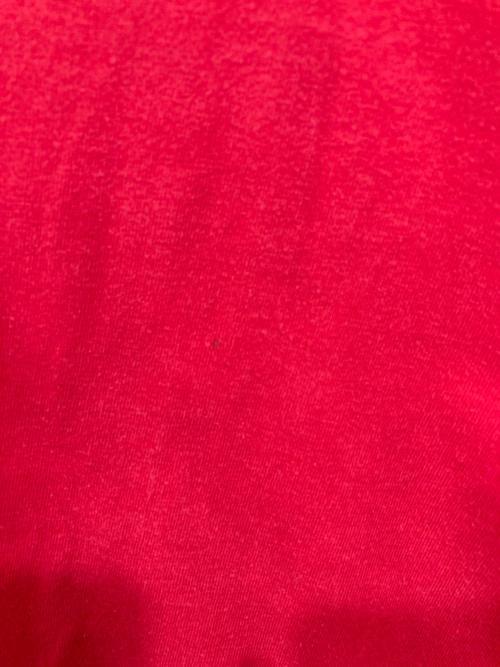 SUPREME（シュプリーム）Supreme (シュプリーム) プリントカットソー レッド サイズ:Mの古着・服飾アイテム