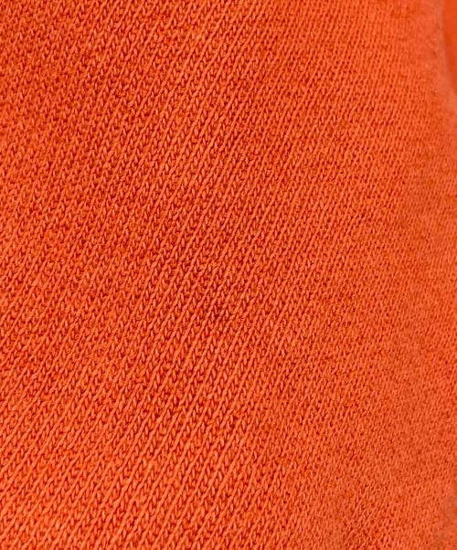 Champion（チャンピオン）Champion (チャンピオン) プレミアムリバースウィーブスウェット オレンジ サイズ:XXLの古着・服飾アイテム
