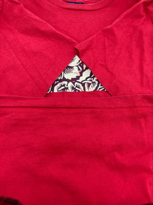 stussy（ステューシー）stussy (ステューシー) プリントTシャツ レッド サイズ:Mの古着・服飾アイテム