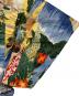 中古・古着 reyn spooner (レイン スプナー) アロハシャツ マルチカラー サイズ:L：8000円
