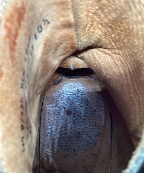 bentley（ベントレー）bentley (ベントレー) ジョッパーブーツ ブラック サイズ:10 1/2の古着・服飾アイテム