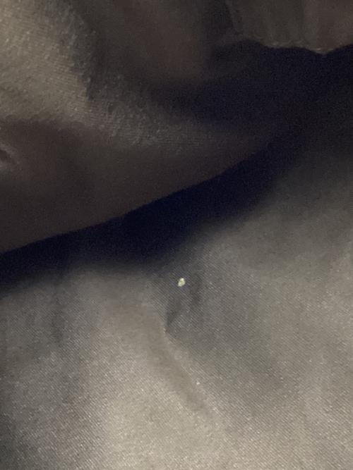 GUCCI（グッチ）GUCCI (グッチ) アビーGGキャンバスショルダーバッグ ブラウン×ベージュの古着・服飾アイテム