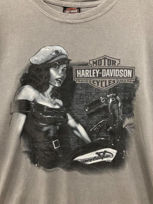 HARLEY-DAVIDSON（ハーレーダビッドソン）HARLEY-DAVIDSON (ハーレーダビッドソン) プリントTシャツ グレー サイズ:XLの古着・服飾アイテム