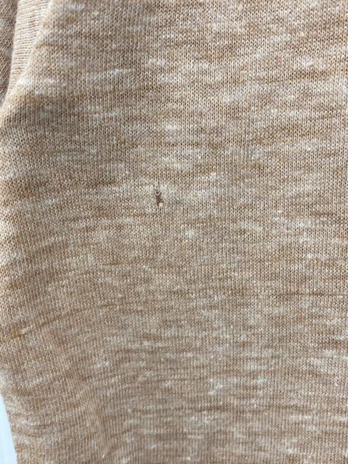 Hanes（ヘインズ）Hanes (ヘインズ) リンガーTシャツ ベージュ×ブラウン サイズ:Lの古着・服飾アイテム