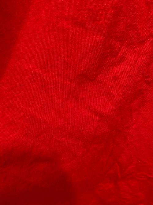 SUPREME（シュプリーム）Supreme (シュプリーム) Kurt Cobain Tee / カート コバーン Tシャツ レッド サイズ:XXLの古着・服飾アイテム