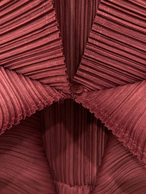 PLEATS PLEASE（プリーツプリーズ）PLEATS PLEASE (プリーツプリーズ) 1B変形切替デザインボレロ ボルドー サイズ:－の古着・服飾アイテム