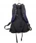 ARC'TERYX (アークテリクス) BEAMS (ビームス) 別注 アロー22 バックパック：12000円