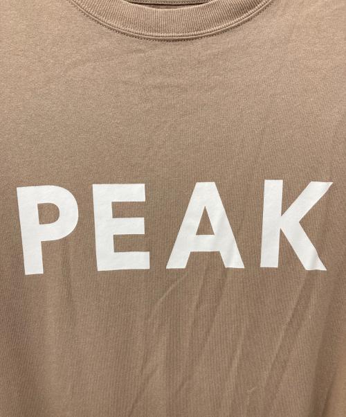 JOURNAL STANDARD relume（ジャーナルスタンダード レリューム）JOURNAL STANDARD relume (ジャーナルスタンダード レリューム) Snow peak (スノーピーク) Tシャツワンピース ベージュ サイズ:Freeの古着・服飾アイテム