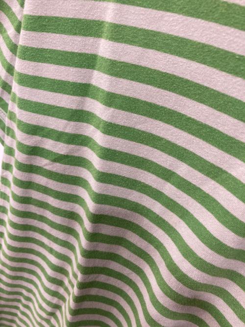 stussy（ステューシー）stussy (ステューシー) ボーダーTシャツ グリーン×ホワイト サイズ:XLの古着・服飾アイテム