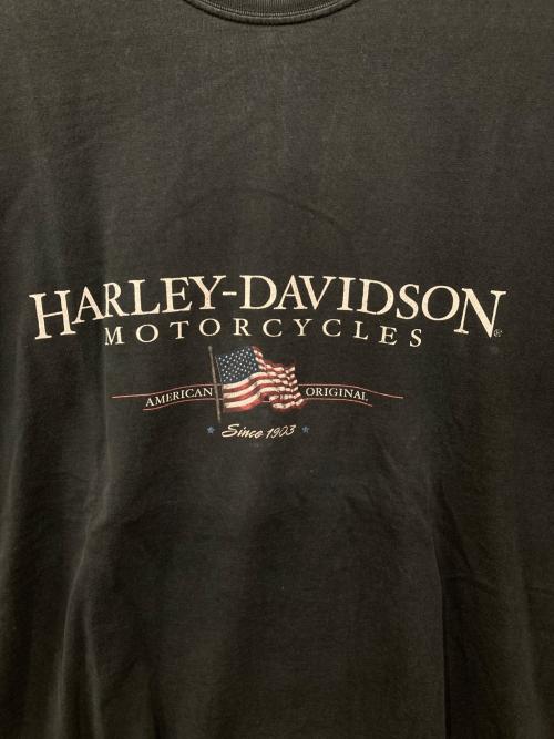 HARLEY-DAVIDSON（ハーレーダビッドソン）HARLEY-DAVIDSON (ハーレーダビッドソン) プリントTシャツ ブラック サイズ:3XLの古着・服飾アイテム