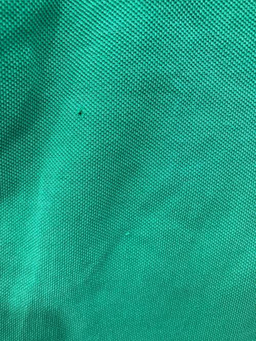 IZOD LACOSTE（アイゾッド ラコステ）IZOD LACOSTE (アイゾッド ラコステ) ポロシャツ グリーン サイズ:PATRONの古着・服飾アイテム